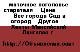 маточное поголовье старателя  › Цена ­ 3 700 - Все города Сад и огород » Другое   . Ханты-Мансийский,Лангепас г.